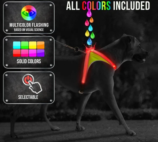 Productafbeelding 19